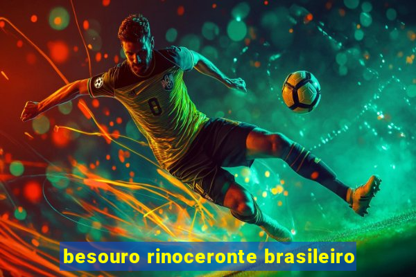 besouro rinoceronte brasileiro